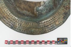 Foto von Bronzebreitrandschüssel (NHMW-PRAE-026417)